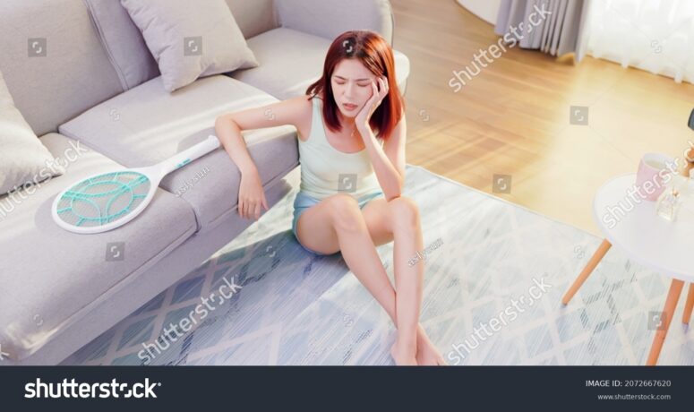  stock-photo-asian-woman-using-mosquito-swatter-or-electric-net-racket-in-living-room